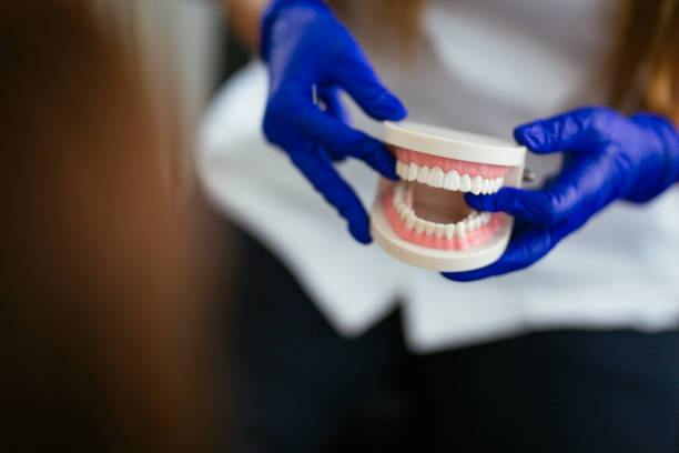 Reliable Fishhook, AK Dental Services Solutions